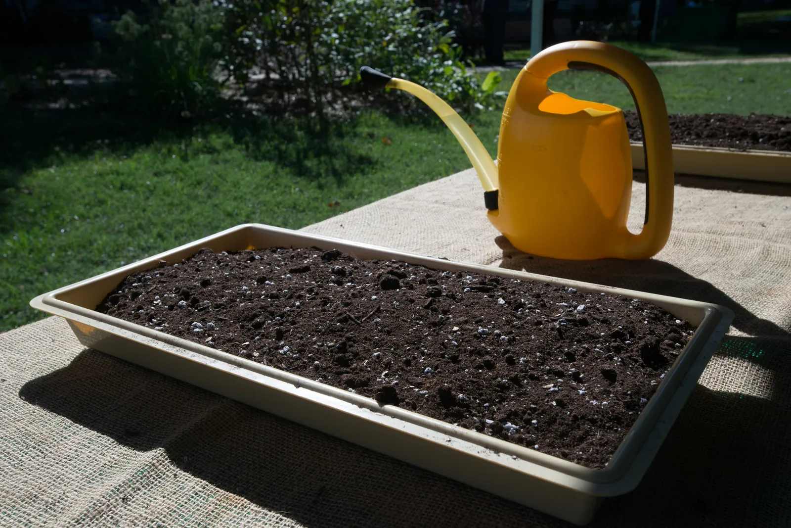 A watering can standing beside a seed tray filled with fresh potting mix
